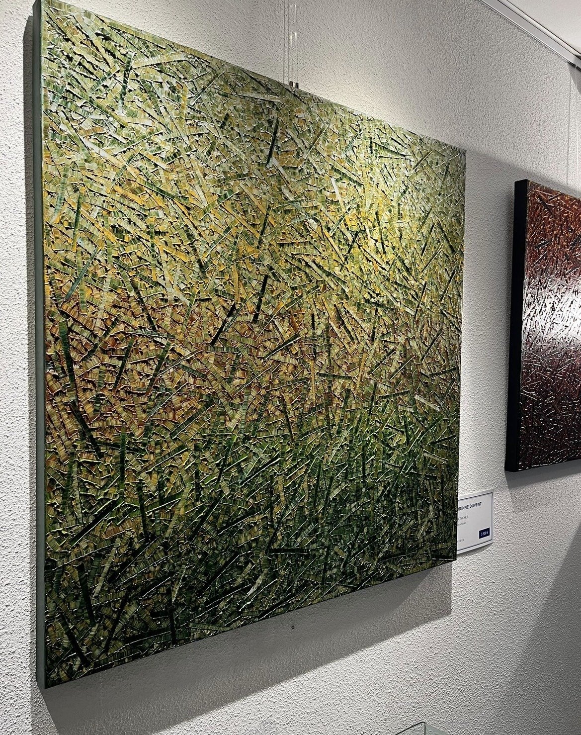 premier Salon d’Art Contemporain de Nevad'art